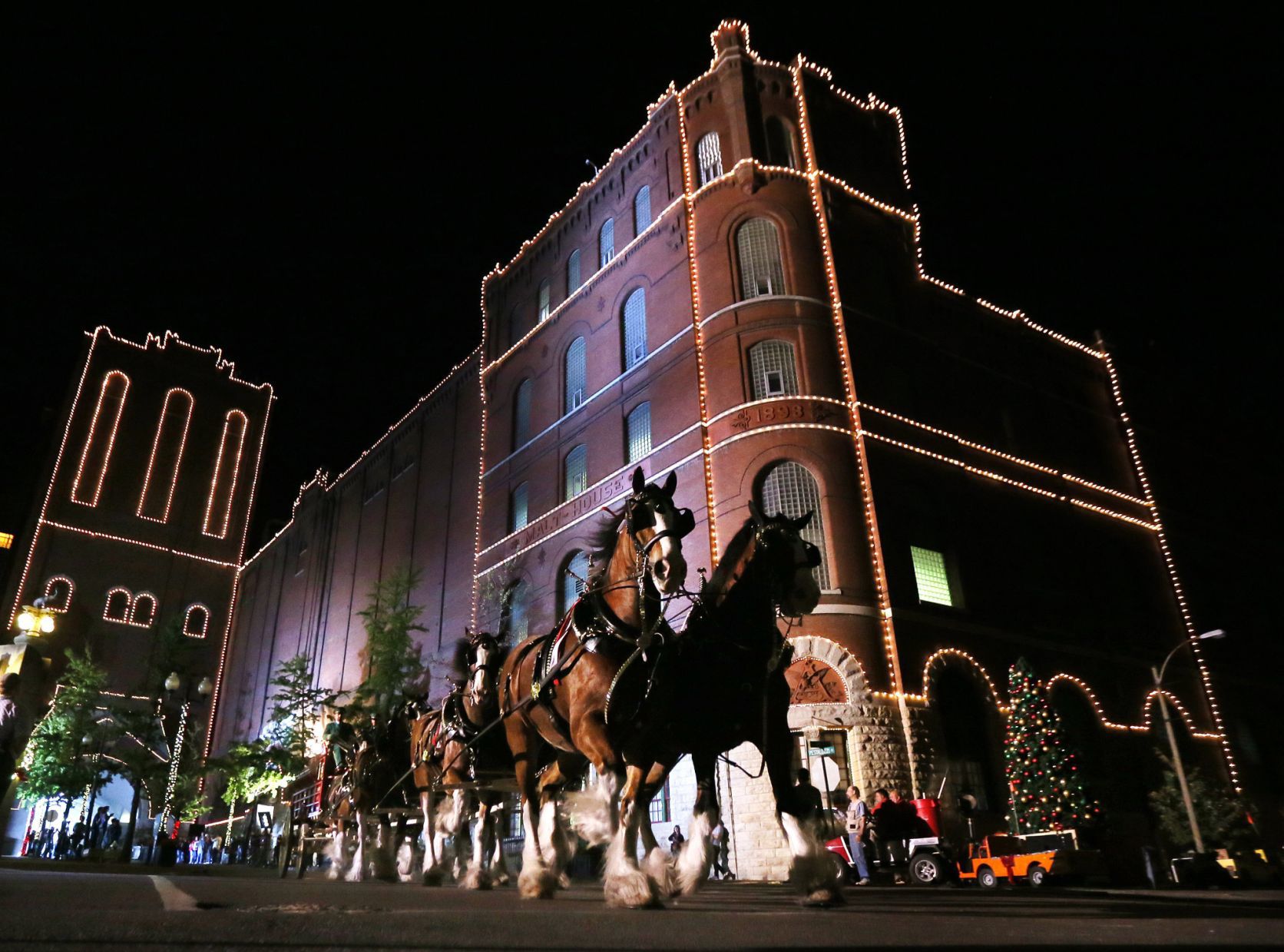 Anheuser-Busch Clydesdales